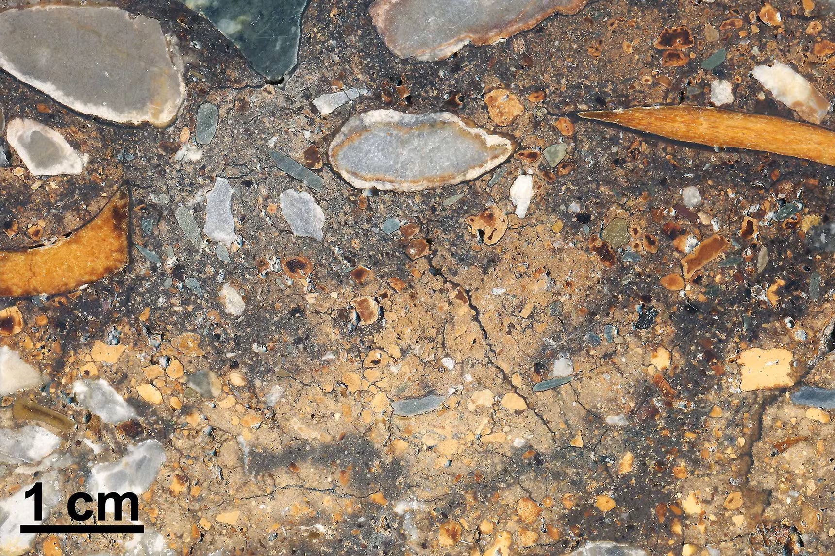 Only a few centimeters of sediment in the block contain a lot of information.