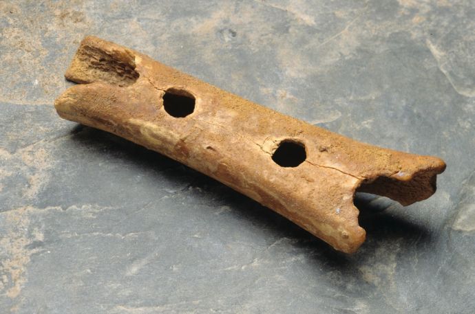 Bone flute from Divje Babe cabe